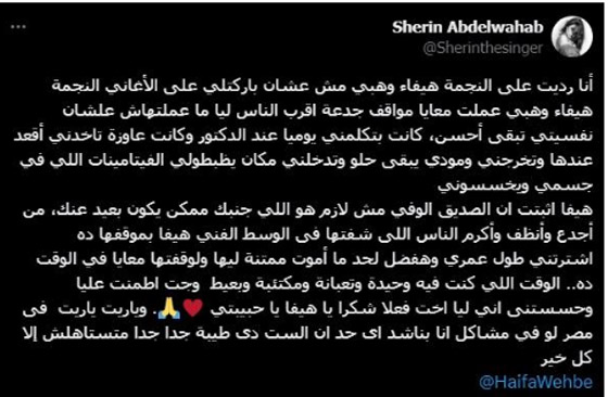 شيرين تشكر هيفاء وهبي وتكشف مواقف جدعنة من الفنانة اللبنانية أثناء أزمتها الأخيرة صورة رقم 1