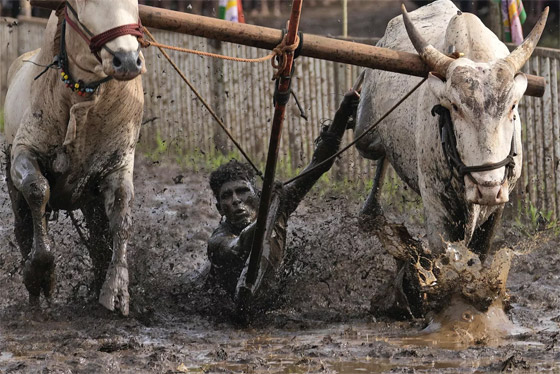 إليكم أبرز أحداث الأسبوع في صور من حول العالم صورة رقم 5