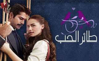 Farfeshpluscom مسلسل طائر الحب Hd في مسلسلات فرفش بلس